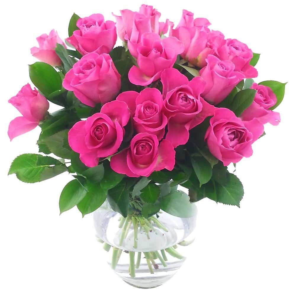12 pcs Pink Rose in Vase