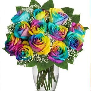 12Pcs Imported Rainbow Roses in Vase