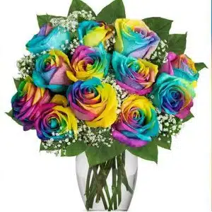 12Pcs Imported Rainbow Roses in Vase