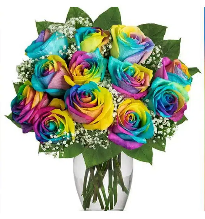 12Pcs Imported Rainbow Roses in Vase
