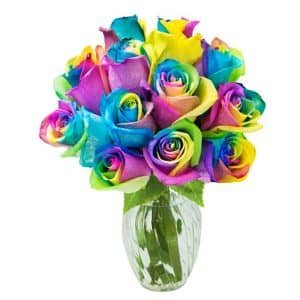 12 pcs rainbow rose in vase