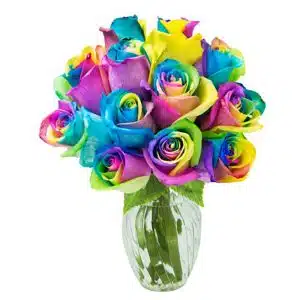 12 pcs rainbow rose in vase