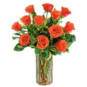 Ecuadorian Rose in A vase