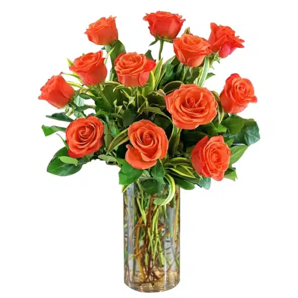 Ecuadorian Rose in A vase