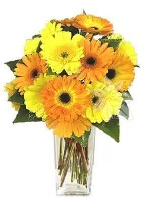 Magnificent Bouquet