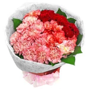 Mixed Carnations Bouquet