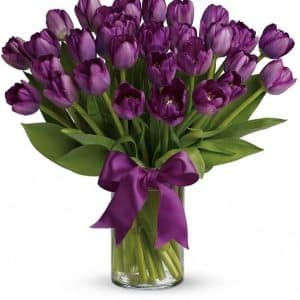 Delightful Tulips