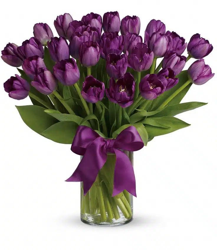 Delightful Tulips