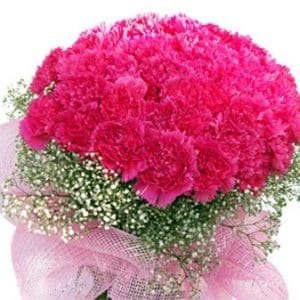 Stems of Carnations