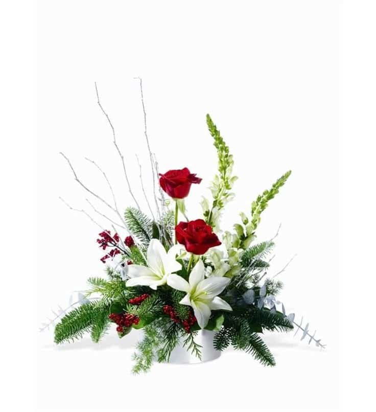 Winter Frost Flowers