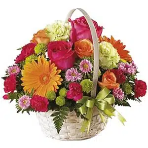 Flower in a basket