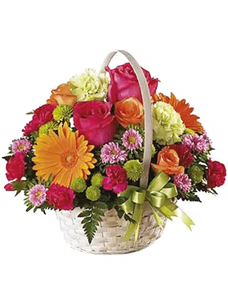 Flower in a basket