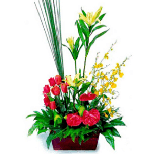 Bouquet Vivacious