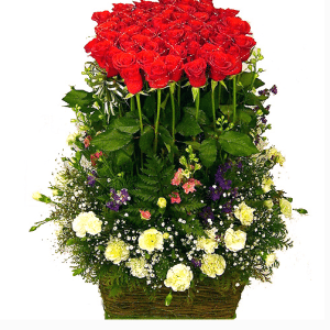 100 Red Rose Basket