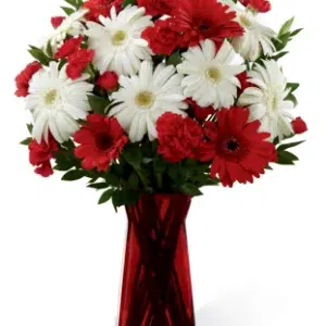 Bright Gerbera