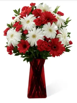 Bright Gerbera