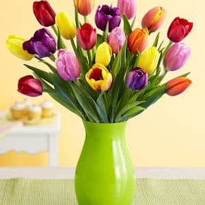 Mixed Tulip Collection