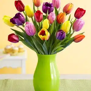 Mixed Tulip Collection