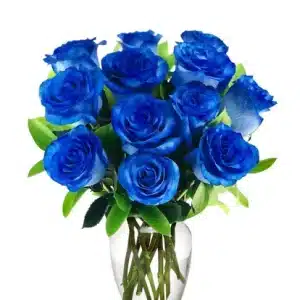 IMPORTED Blue ROSES