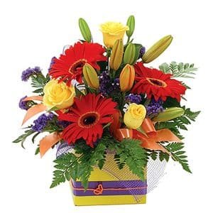 Mixed Arrangement in Kraft Box