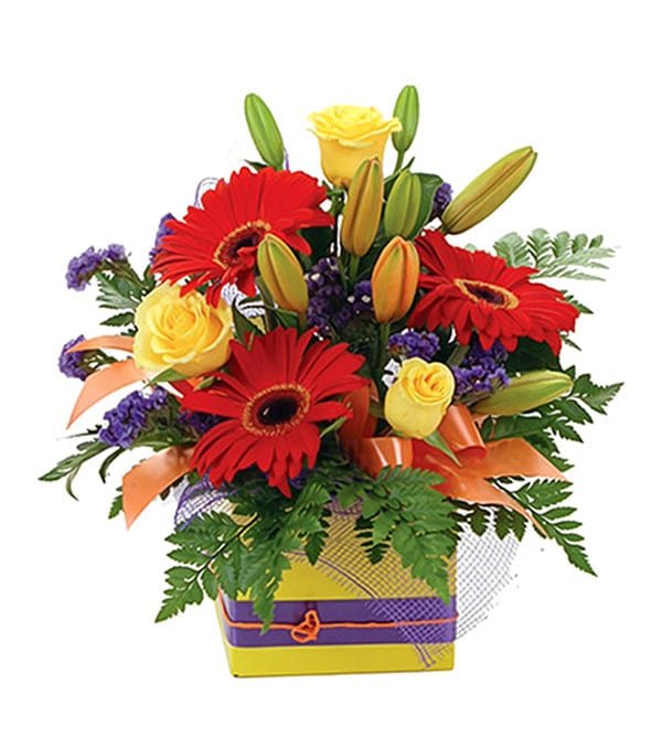 Mixed Arrangement in Kraft Box