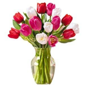 Heart pounding Tulip