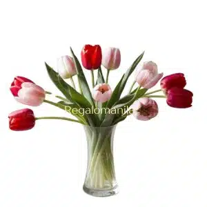 Mixed Pink and Red Tulip in Vase