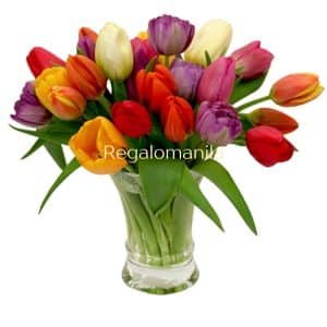 Charming Tulips