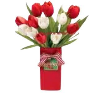 Red and White tulips