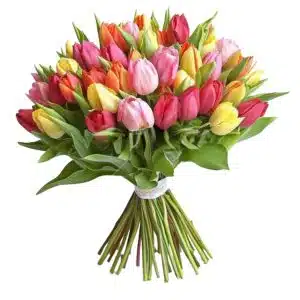 Bouquet Mixed Tulips