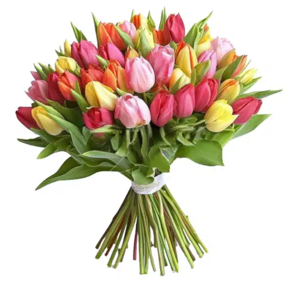 Bouquet Mixed Tulips