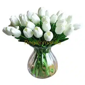 White fringed tulips