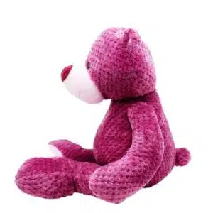 Purple Huggy Bear