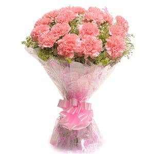 Pink carnation