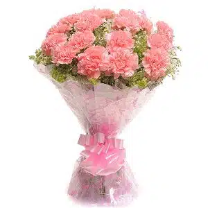Pink carnation