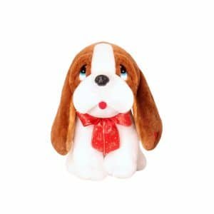 Cute Teddy Dog