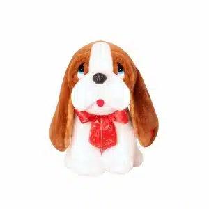 Cute Teddy Dog