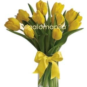 Yellow tulip in vase