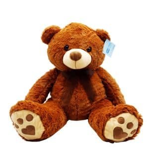 Lovely Brown Bear