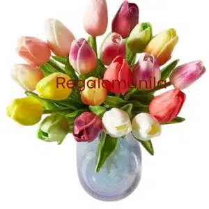 Vibrant Tulips