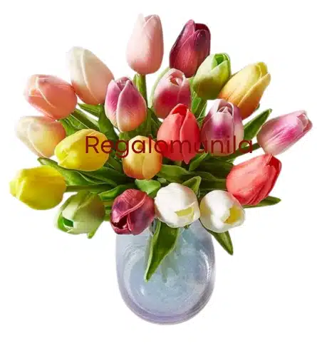 Vibrant Tulips