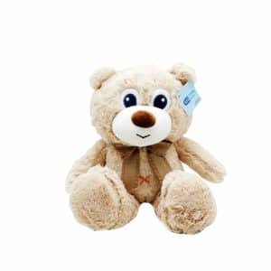 Cute Teddy Bear