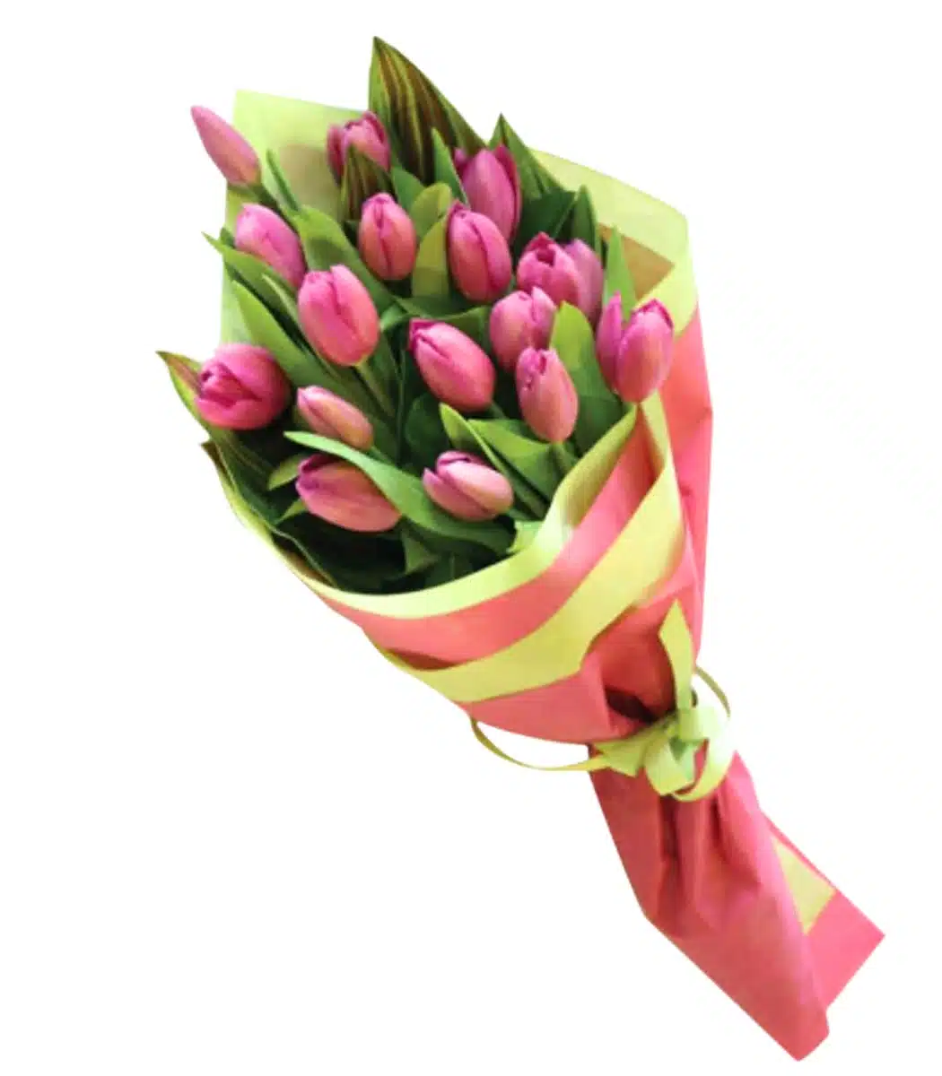 Tulip bouquet