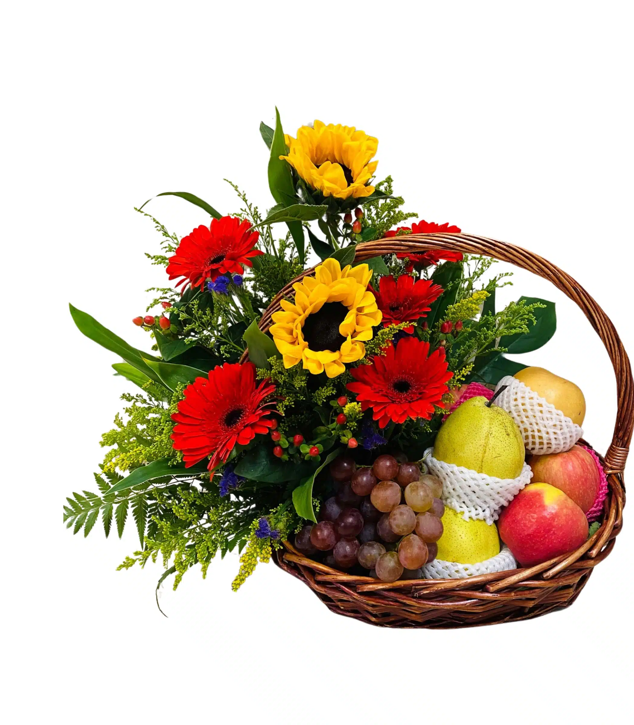 Flower And Fruits