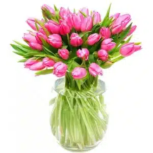 Precious Pink Tulips