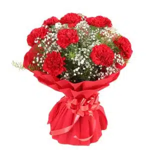 10 Brilliant Red carnation bouquet