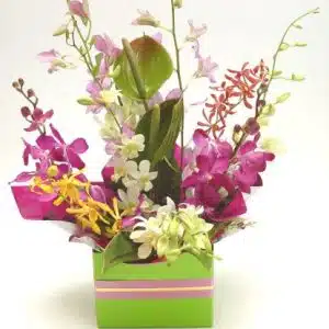 Orchid Arrangement In Kraft Box
