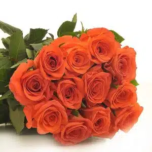 Voodoo Roses
