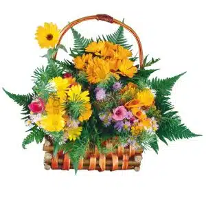 Bright Flowers