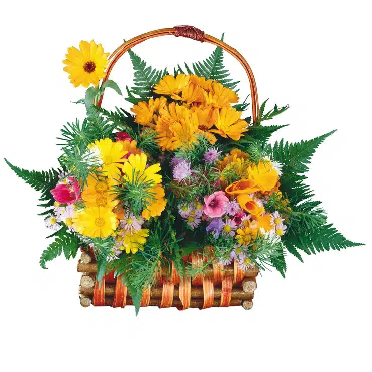 Bright Flowers
